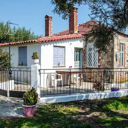 Stam House Villa Leonídio Kültér fotó